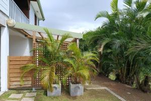 a group of palm trees in front of a house at Le petit coin de campagne in Le Robert