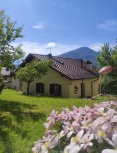 a house with pink flowers in front of it at Dal Grof in Tualis