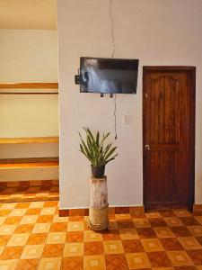 a room with a potted plant and a television on a wall at Casa Kal'i in Brisas de Zicatela +47 photos
