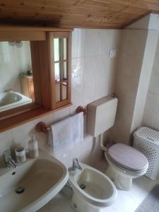 a bathroom with a white toilet and a sink at Dal Grof in Tualis +16 photos