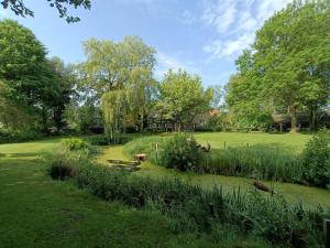 a garden with a pond in the middle of a field at De Grote Belt in Oene