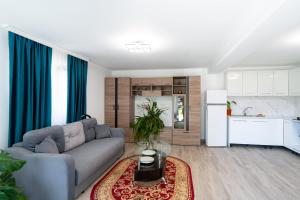a living room with a couch and a kitchen at Casa Ursuleasa in Ciumîrna