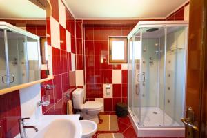 a bathroom with a shower and a toilet and a sink at Casa Ursuleasa in Ciumîrna +36 photos