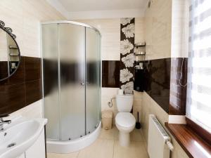 a bathroom with a shower and a toilet and a sink at Willa Kapitańska i Willa Marynarska in Łeba +43 photos