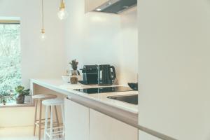 uma cozinha com um lavatório e comodidades para preparar café num balcão em AP8 city & park apartement em Aalst