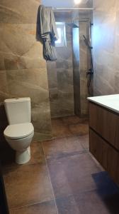 a bathroom with a toilet and a shower at Na břehu Olše in Český Těšín