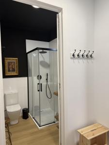 a bathroom with a shower and a toilet at Casa Plaza do Millo in Celanova +29 photos