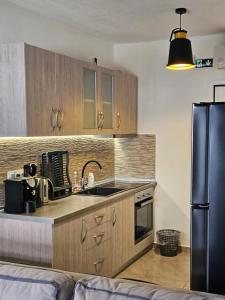 a kitchen with a sink and a refrigerator at Iliokalli Apartment in Nea Peramos