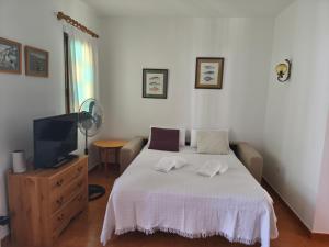 a bedroom with a bed and a flat screen tv at Apartamentos Xoroi in Cala en Porter