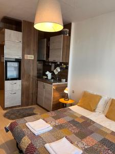 a bedroom with a bed and a kitchen in it at Mirabell Studio Bansko - Amazing view & fireplace in Bansko