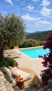 a swimming pool in front of a villa at Residence Le Solane in Marina di Campo