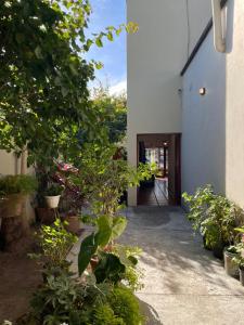 a courtyard with a bunch of plants and trees at Benitez Hostería in Calilegua