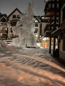 a snow covered tree in the middle of a street at Mirabell Studio Bansko - Amazing view & fireplace in Bansko