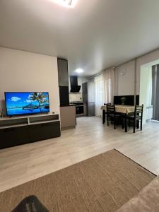 a large living room with a large flat screen tv at Komarova in Chernivtsi