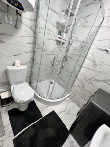 a bathroom with a toilet and a glass shower at Komarova in Chernivtsi +22 photos
