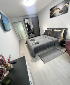 a bedroom with a bed and a desk in it at Komarova in Chernivtsi