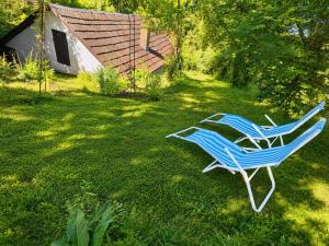 two chairs sitting in the grass in a yard at Csigaház Vendégház in PerÅ‘csÃ©ny +19 photos