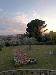 a bench sitting in the middle of a field at Bolsena Cento20 - Rooms & Relax in Bolsena +13 photos