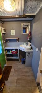 a small bathroom with a sink and a mirror at Tiny house im Wingster Forst in Wingst