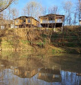two houses on a hill next to a body of water at Greengold in Săcădat