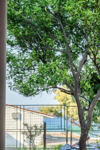 a tree is in front of a fence at Delmare Tower View Suites in Nea Fokea