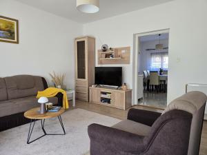 a living room with a couch and a tv at Apartman Humac in Otočac +20 photos