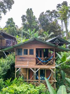 a house being constructed in the middle of a forest at Pure Roots in Bastimentos