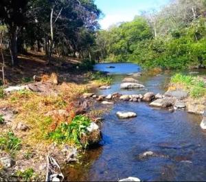a river with rocks in the middle of a field at Casa Paz by Otium in La Cruz +17 photos