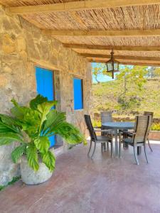 a patio with a table and chairs and a potted plant at Casa Paz by Otium in La Cruz