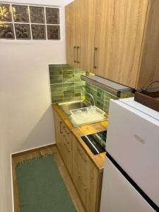 a small kitchen with a sink and a refrigerator at Vasiliki Palli Rooms in Methana