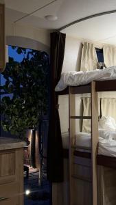 a bedroom with two bunk beds and a tree at cozy rv in Falaj al Mu‘allá