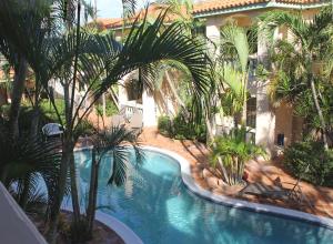 鷹海灘的住宿－Wacamaya，享有棕榈树游泳池的顶部景致