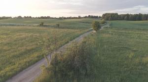 a dirt road in the middle of a field at Place for tent - Miejsce na namiot u stóp natury in Kuty