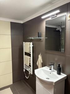 a bathroom with a sink and a mirror at Samu Tanya in Gyula +25 photos