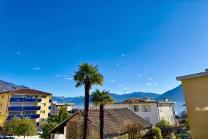 two palm trees in a city with mountains in the background at Malibu46 - Minusio Apt with Shared Pool & Balcony - Happy Rentals in Minusio