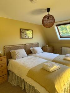 a bedroom with two beds and a window at Le Sart de Bouland in Frasnes-lez-Anvaing +28 photos