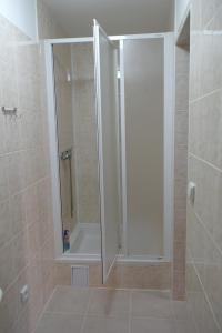 a shower with a glass door in a bathroom at Penzion Černý mlýn in Březová