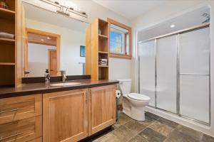 a bathroom with a toilet and a sink and a shower at Topaz Beach Cottage AC Waterview in Wiarton +32 photos