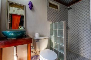 a bathroom with a toilet and a sink and a mirror at Pure Roots in Bastimentos
