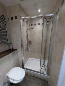a bathroom with a shower and a toilet at Hal`s at Killynick in Killyhevlin +18 photos