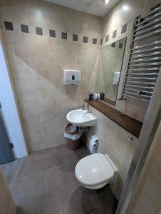 a bathroom with a white toilet and a sink at Hal`s at Killynick in Killyhevlin