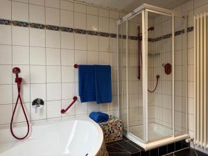 a bathroom with a shower and a bath tub at Ferienwohnung Rosengarten in Osburg +19 photos