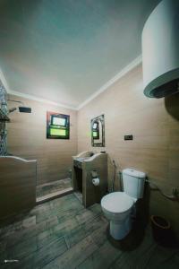 a bathroom with a toilet and a shower and a sink at blue moon in Chefchaouen
