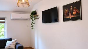 a living room with a flat screen tv on a wall at Rose 2 Apartment in Jajce