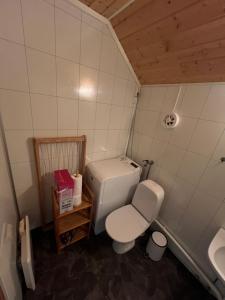 a small bathroom with a toilet and a sink at Cottage from 1850 in Ballstad in Ballstad
