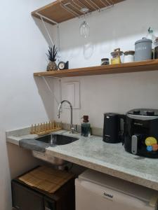 a kitchen with a sink and a counter top at Flora e Fauna in Porto Alegre +7 photos