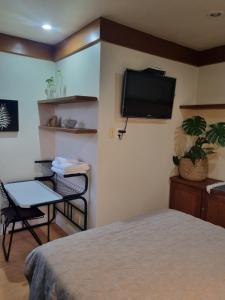a bedroom with a bed and a table and a tv at Flora e Fauna in Porto Alegre