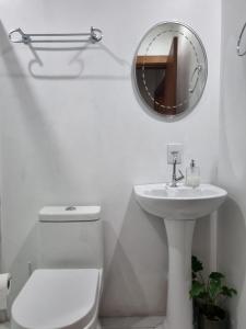 a white bathroom with a toilet and a mirror at Flora e Fauna in Porto Alegre