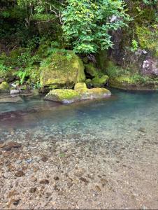 a stream with rocks in the middle of a forest at 愛犬と泊まれる宿 ほこほこsaza 一棟貸し 海も川も徒歩圏内 dog run付き 釣りの穴場 サーフィン 自然 満点星空 蛍鑑賞 最大7名 in Miyazaki