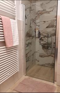 a shower with a glass door in a bathroom at Apartma Deni in Jelšane +13 photos